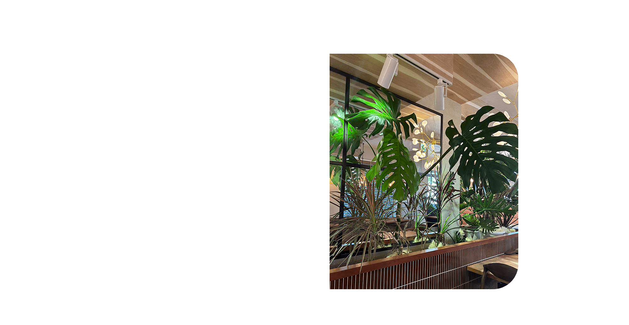 植物に囲まれて、もっと美味しい時間を。 名護で楽しむ、こだわりのカフェ＆バー。